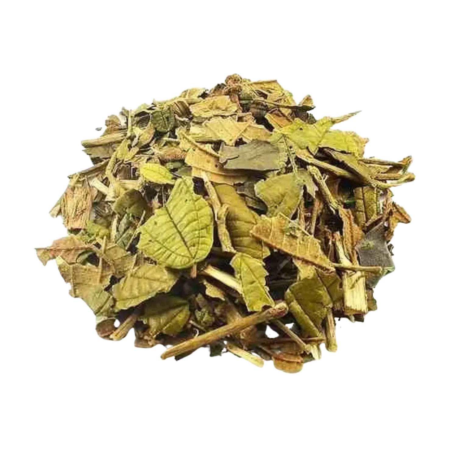 Canela de Velho